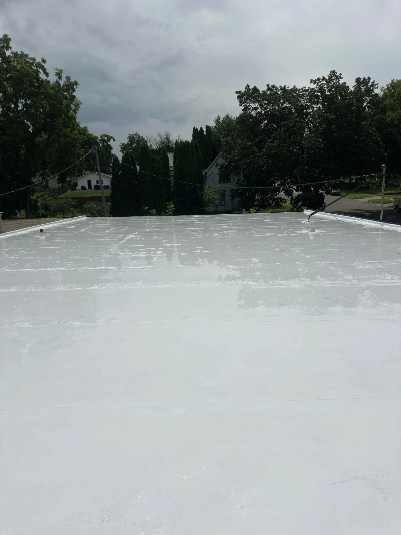 Fleeceback TPO membrane