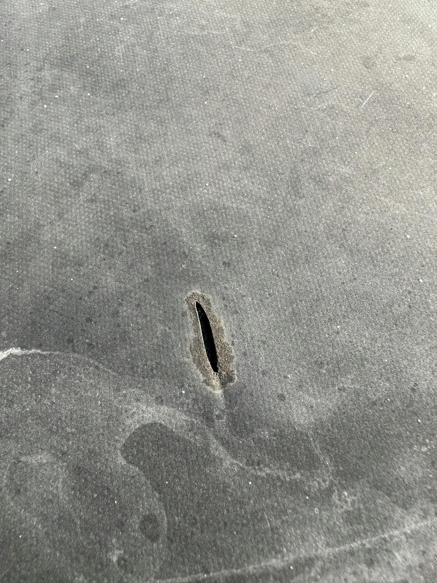 Holes in aging EPDM membrane requiring replacement
