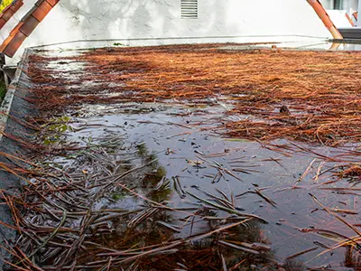 roof and gutter cleaning, Iowa, IA 1